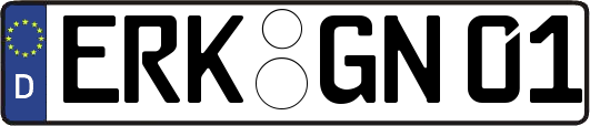 ERK-GN01