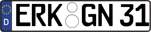 ERK-GN31