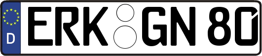 ERK-GN80