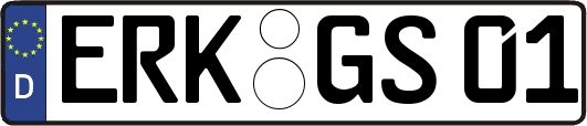 ERK-GS01