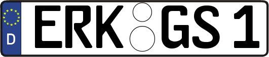 ERK-GS1