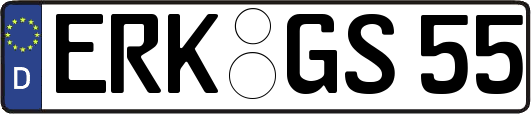 ERK-GS55