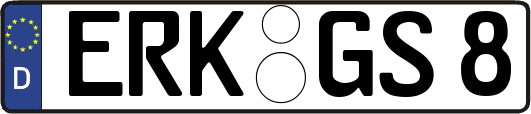 ERK-GS8
