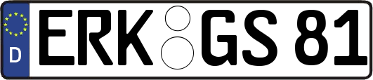 ERK-GS81