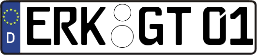 ERK-GT01