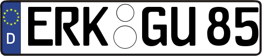ERK-GU85
