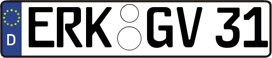 ERK-GV31