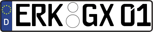 ERK-GX01