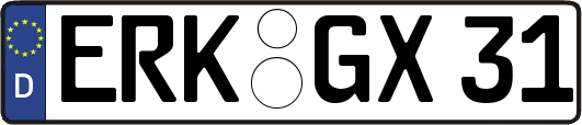ERK-GX31