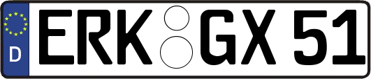 ERK-GX51