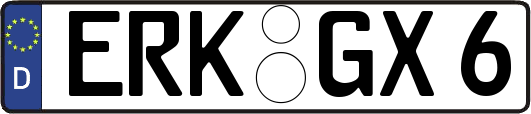 ERK-GX6