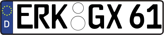 ERK-GX61
