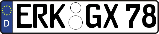 ERK-GX78