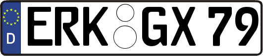 ERK-GX79