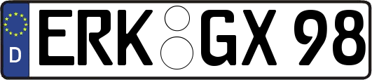 ERK-GX98