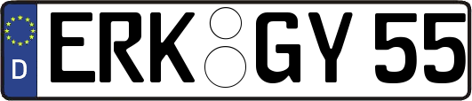ERK-GY55