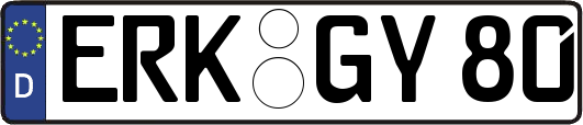 ERK-GY80