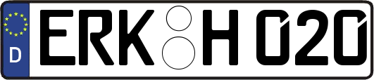 ERK-H020