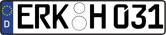 ERK-H031