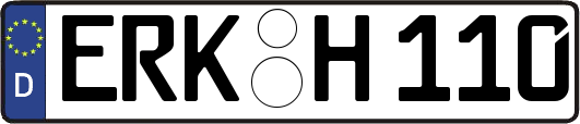 ERK-H110