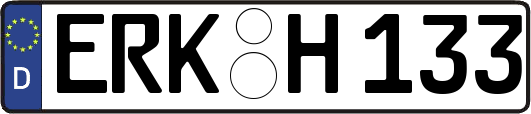ERK-H133