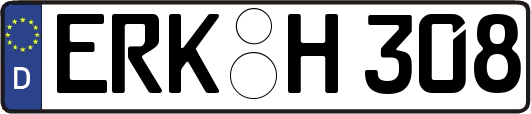 ERK-H308