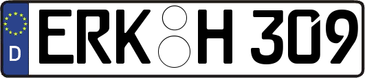 ERK-H309