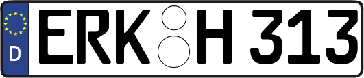 ERK-H313