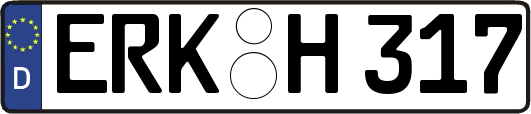 ERK-H317
