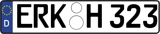 ERK-H323