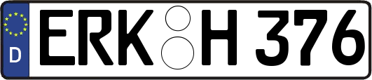 ERK-H376