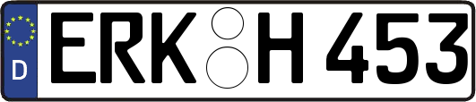 ERK-H453