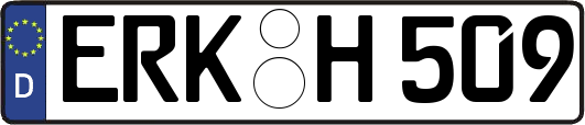 ERK-H509