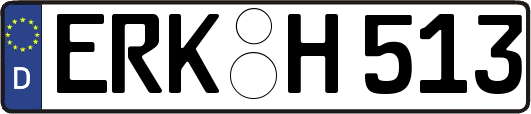 ERK-H513