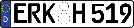 ERK-H519