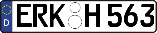 ERK-H563