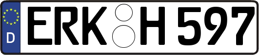 ERK-H597
