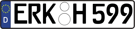 ERK-H599