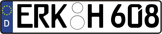 ERK-H608