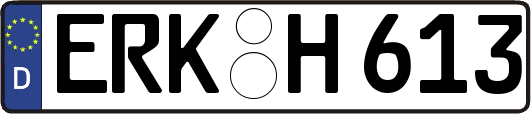 ERK-H613