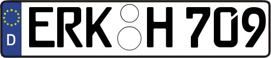 ERK-H709