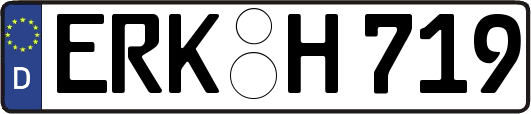 ERK-H719