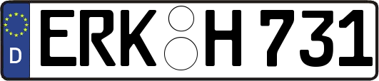 ERK-H731