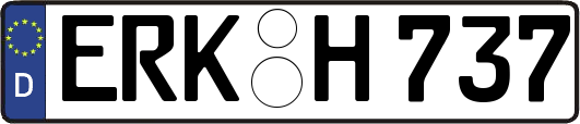 ERK-H737