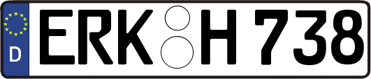 ERK-H738