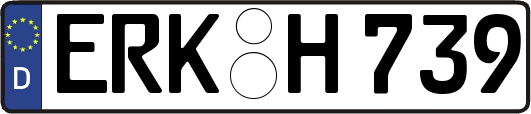 ERK-H739