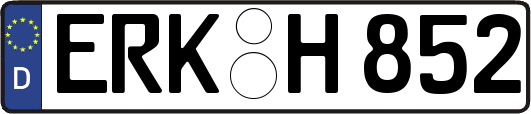 ERK-H852