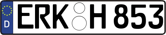 ERK-H853