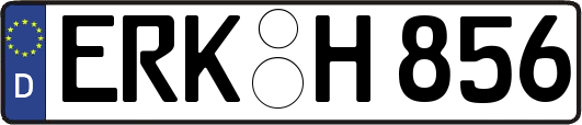 ERK-H856