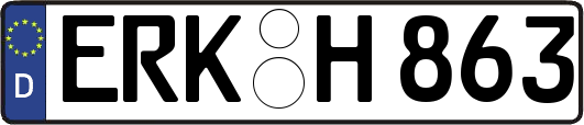 ERK-H863